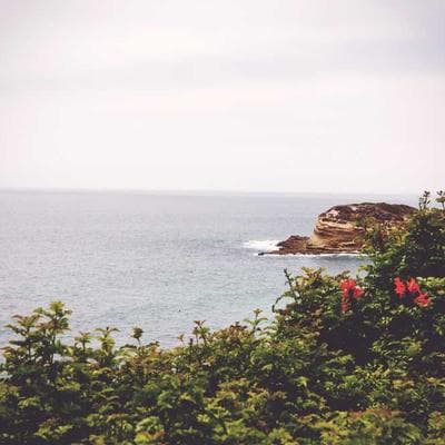 Робота студії WOVSDH Nails — приклад манікюру 2